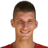 Andrej Nedic